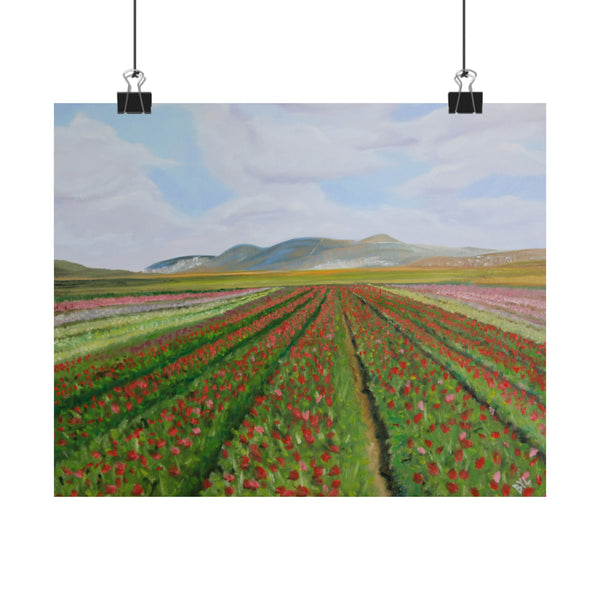 Flower Fields of the Galilee | Poster