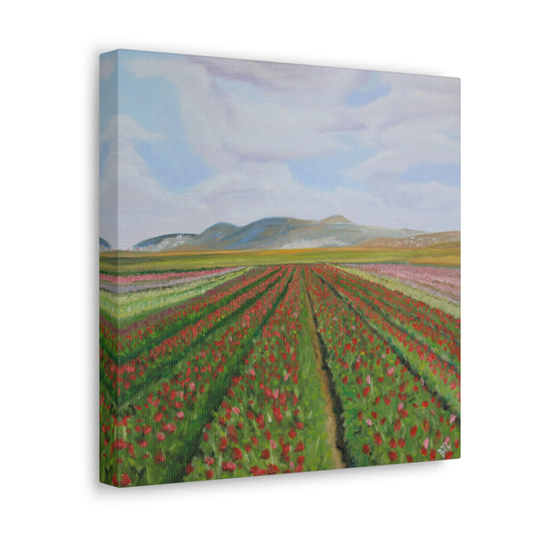 Flower Fields of the Galilee | Canvas